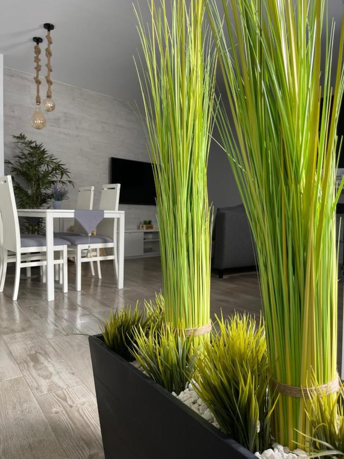 Apartamento Banferra Херес-де-ла-Фронтера Екстер'єр фото